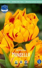 Тюльпаны Monsella (Lefeber)