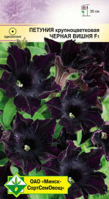 Петуния гибр крупноцв Черная вишня F1 5шт