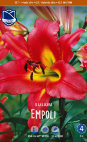 Лилия O.T. Empoli (Lefeber)