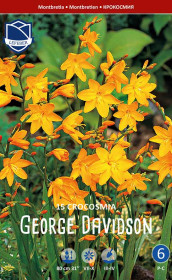 Крокосмия George Davison (Lefeber)