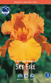 Ирис germanica Sky Fire (Lefeber)