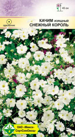 Качим изящный Снежный король 0.5г