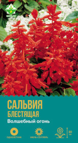 Сальвия блестящая Волшебный огонь 0.1г