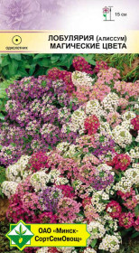 Лобулярия морская Магические цвета 0.2г