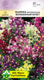 Льнянка марокканская Волшебный букет 0.2г