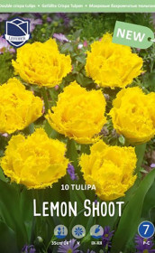 Тюльпаны Lemon Shoot (Lefeber)