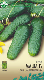 Огурец Маша F1 7шт (Эксперт)