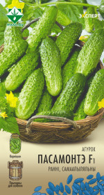 Огурец Пасамонте F1 10шт (Эксперт)