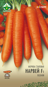 Морковь Норвей F1 столовая 0.3г (Эксперт)