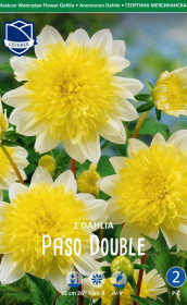 Георгина Paso Doble (Lefeber)