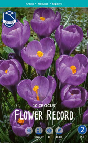 Крокусы Flower Record (Lefeber)