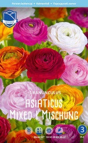 Ранункулус Mixed (Budget packs) (Lefeber)
