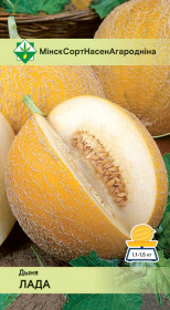 Дыня Лада 10шт