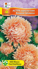 Астра Пионовидная Башня Шамоа 0.3г