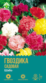 Гвоздика садовая Шабо см 0.15г