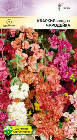 Кларкия изящная Чародейка см 0.3г