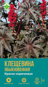 Клещевина обыкновенная Красно-коричневая 4шт