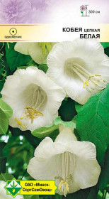 Кобея цепкая Белая 5шт