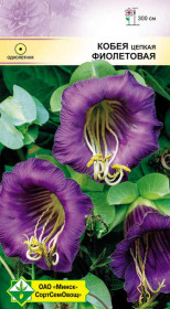 Кобея цепкая Фиолетовая 5шт