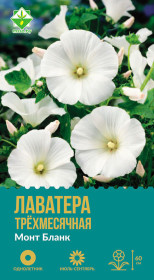 Лаватера трехмесячная Монт Бланк 0.5г