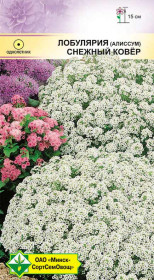 Лобулярия морская Снежный ковер 0.2г