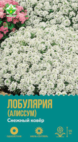 Лобулярия морская Снежный ковер 0.2г