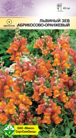 Львиный зев Абрикосово-оранжевый 0.2г