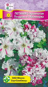 Петуния гибр бахромчатая Поздравь из Яромнержа 7шт