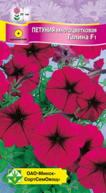 Петуния гибр многоцв Галина F1 10шт