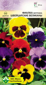 Фиалка Витрокка Швейцарские великаны 0.1г