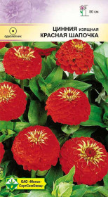 Цинния изящная Лилипутовая Красная шапочка 0.5г