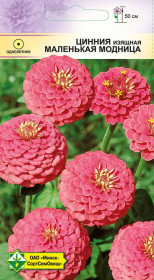 Цинния изящная Лилипутовая Маленькая модница 0.5г