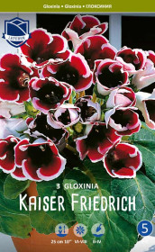 Глоксиния Kaiser Friedrich (Lefeber)