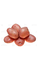 Картофель семенной Вектар ТС