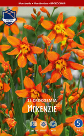 Крокосмия Mckenzie (Lefeber)