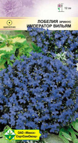 Лобелия эринус Император Вильям 0.05г