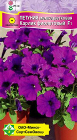 Петуния гибр мелкоцв Карлик фиолетовый F1 7шт