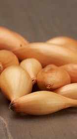 Лук-севок Бирнформиге (10-21мм)