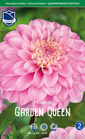 Георгина Garden Queen (Lefeber)