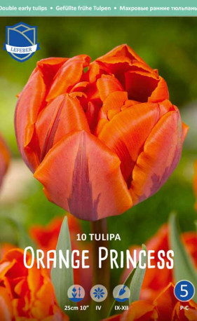 Тюльпаны Orange Princess (Lefeber)