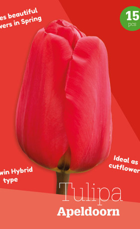 Тюльпаны Apeldoorn (серия Colour Collection) (15 шт. в упак.) (R. De Ree)