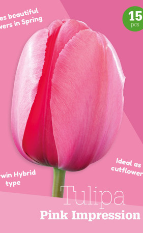 Тюльпаны Pink Impression (серия Colour Collection) (15 шт. в упак.) (R. De Ree)