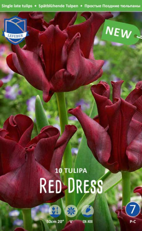 Тюльпаны Red Dress (Lefeber)