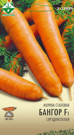 Морковь Бангор F1 столовая 0,3 г (Эксперт)