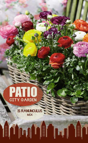 Ранункулус Mixed (серия Patio City Garden) (15 шт. в упак.)