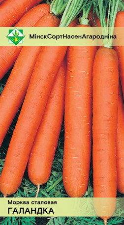 Морковь Голландка столовая 1г