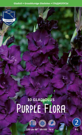 Гладиолус Purple Flora (Lefeber)