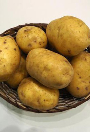 Картофель семенной Миа