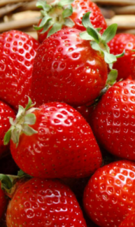 Рассада земляники садовой Флоренс в конт. С1 (Клубника) (НС)