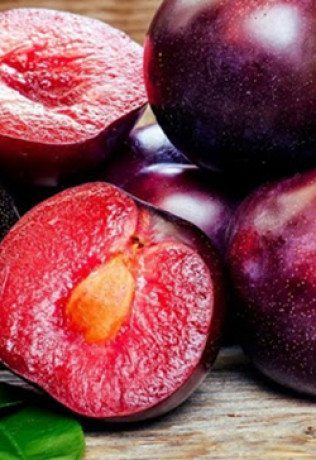 Саженец сливы Шарафуга, 2 года, ОКС (КФХ 